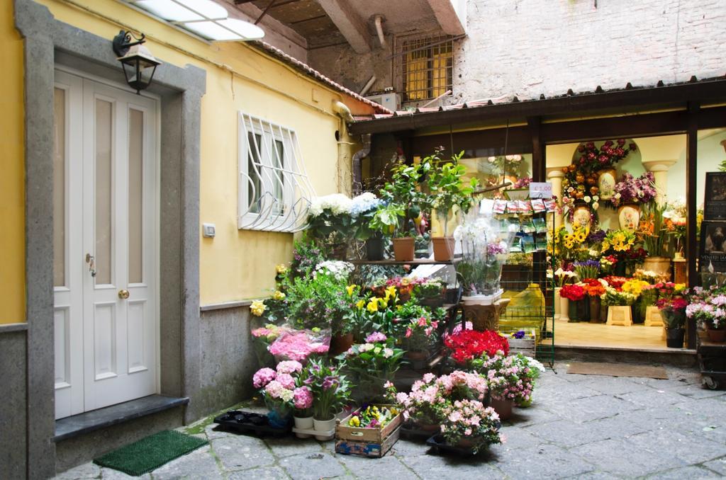 شقة Casa Tonia San Cesareo سورينتو الغرفة الصورة